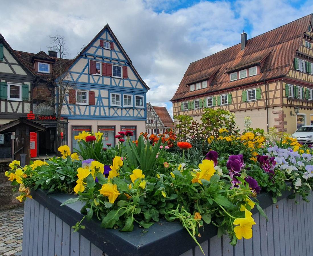 Neubulach Marktplatz (BlickLicht Photography by Anja Corinna Lohr)