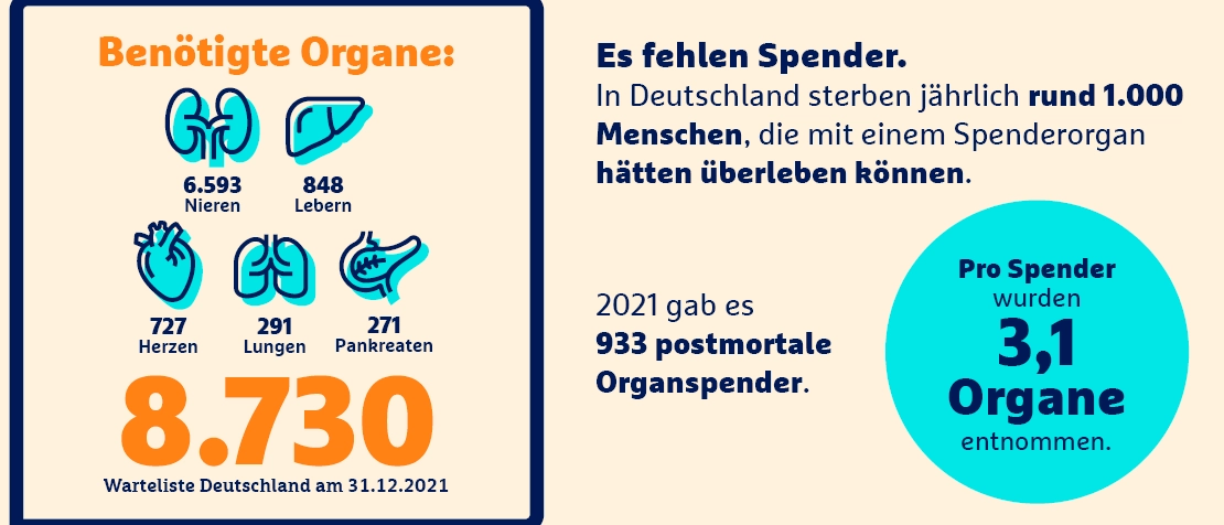 Infografik zu Organspenden in Deutschland: 8.730 registrierte Spender, benötigte Organe wie Nieren und Leber, fehlende Spender kosten jährlich 1.000 Leben.