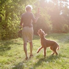 hunde-liebe-action.jpg