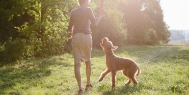 hunde-liebe-action.jpg