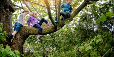 Kindergeburtstag-kletterwald