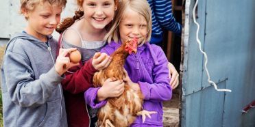 bioeier-kinder-huhn.jpg