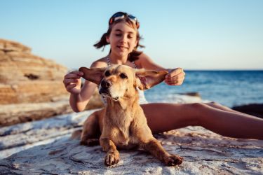 Mädchen mit Hund sitzt am Strand
