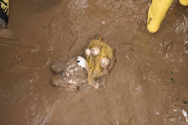 Bakterien und Schlamm auf einem Kuscheltier nach Hochwasser.