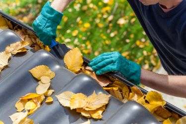 Eine Person reinigt die Dachrinne am Wohnhaus und befreit sie von heruntergefallenen Herbstblättern.