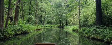 News_XVG793_Gemeinsam unterwegs im Spreewald