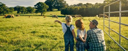 sicherheit-landwirtschaft-stage