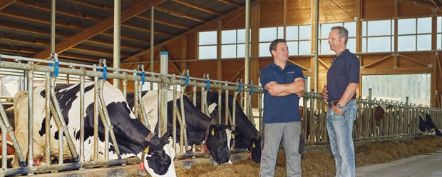 Landwirt und Generalagent führen Gespräch im Kuhstall