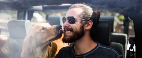 Hund fährt mit Herrchen im Auto mit.