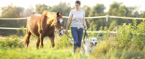 tierhalter_hp_pferd_ruv_buehne