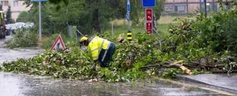 Ein Feuerwehrmann räumt Baumstämme nach einem Sturm weg.