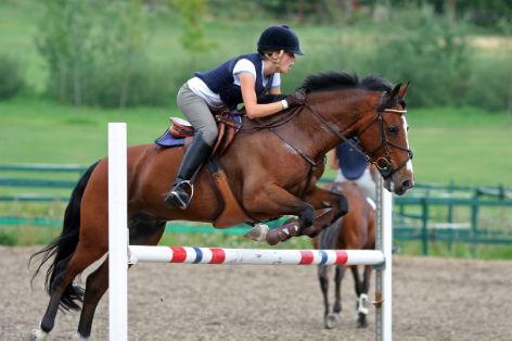 reiturlaub-training.jpg