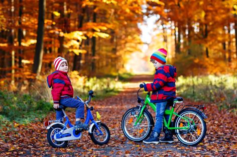 Fahrradfahren_Kinder_Wald.jpg