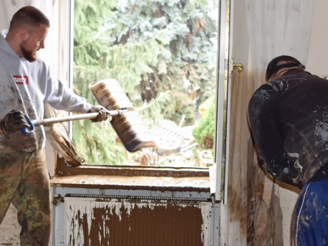 Person reinigt Fensterrahmen mit Bürste, Wald im Hintergrund, alte weiße Fensterbank mit Farbabplatzungen sichtbar.