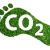 CO2-Fußabdruck-Symbol, Barfuß Fußabdruck aus üppigem grünen Gras mit Text CO2