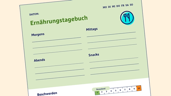Grünes Ernährungstagebuch mit Feldern für Morgens, Mittags, Abends und Snacks zum Ausfüllen