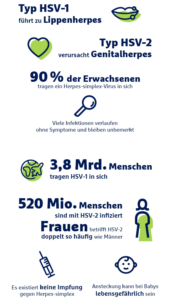 Infografik Herpes-simplex-Virus