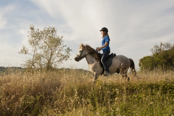Mädchen reitet auf Pony durch blühendes Feld mit Bäumen im Hintergrund bei Tageslicht