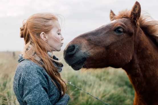 Frau mit roten Haaren schaut ein braunes Pferd an, grüne Wiese im Hintergrund