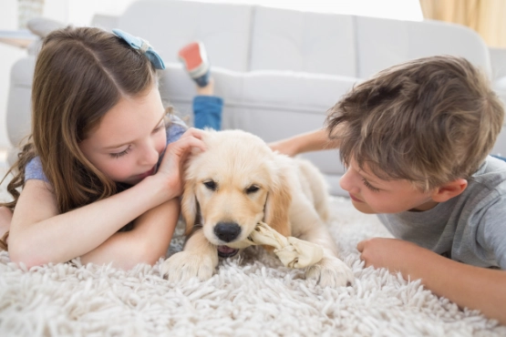 Zwei Kinder streicheln einen Golden Retriever auf einem weißen Teppich im Wohnzimmer.