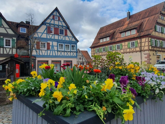 Neubulach Marktplatz (BlickLicht Photography by Anja Corinna Lohr)