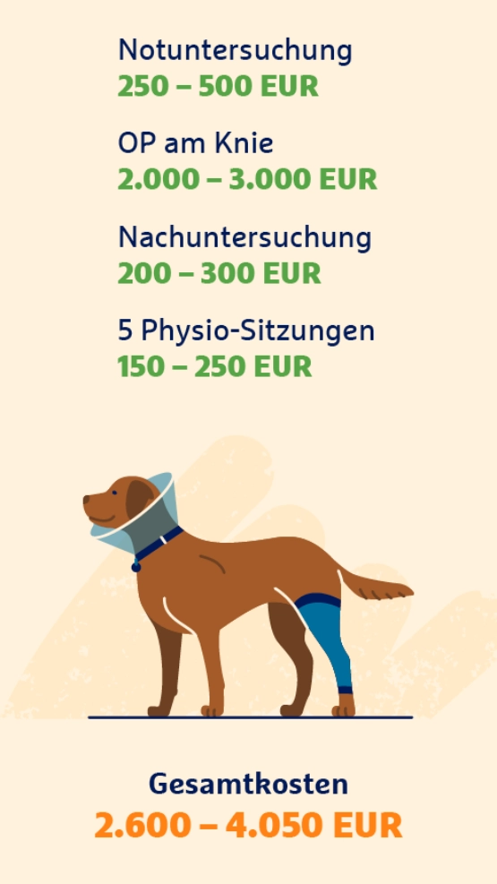 Infografik: Steigende Tierarztkosten am Beispiel Kreuzbandriss beim Hund.