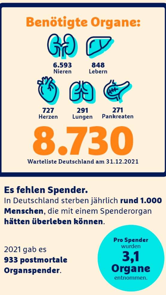 Infografik zur Organspendewartelist Deutschland 2021 mit 8.730 wartenden Patienten, aufgegliedert nach Organtypen wie Nieren, Leber und Herz.