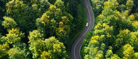 Kurvenreiche Straße durch den Wald.
