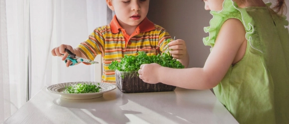 Zwei Kinder essen gemeinsam Gemüse am Tisch, Junge und Mädchen mit gesundem Essen vor heller Fensterkulisse.