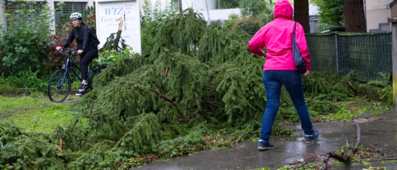 Kinder beim Spielen im Garten, eine Joggerin in pink Jacke und Fahrradfahrer auf nasser Wiese