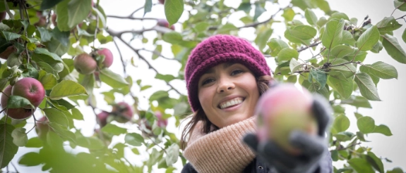 Frau mit rosa Mütze pflückt Äpfel von einem Baum und lächelt in die Kamera