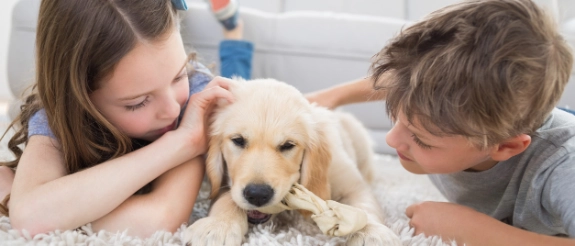 Zwei Kinder streicheln einen Golden Retriever auf einem weißen Teppich im Wohnzimmer.