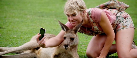 Junge Frau macht ein Selfie mit einem Känguru.