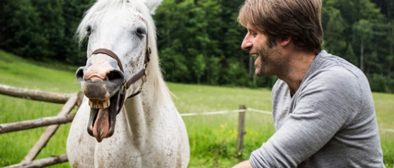 Mann mit Pferd.