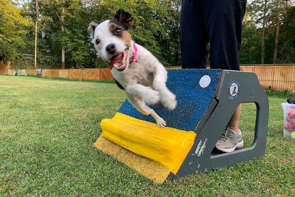 Kylie im Training: auf der Übungsbox lernt er die perfekte Wendung. Kylie im Training: auf der Übungsbox lernt er die perfekte Wendung.
