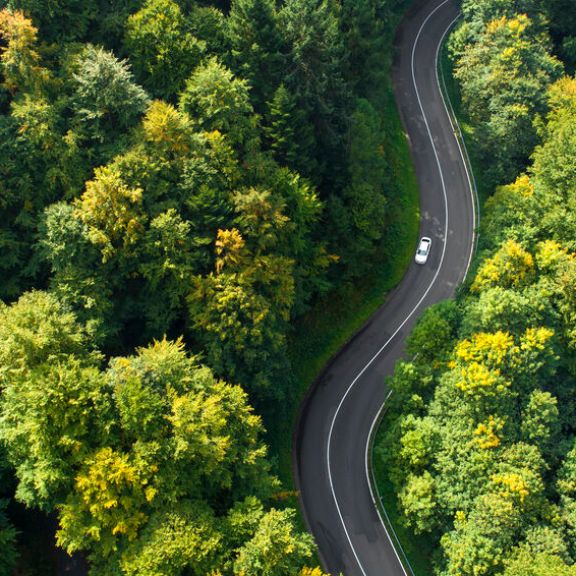 Berganfahrassistent Kurvenreiche Straße durch den Wald.