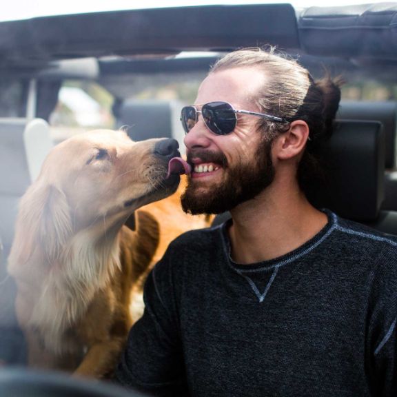 Hund fährt mit Herrchen im Auto mit.