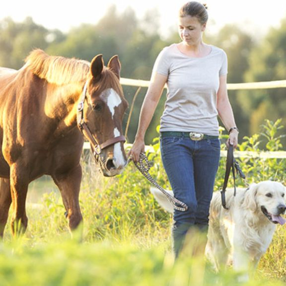 tierhalter_hp_pferd_ruv_buehne