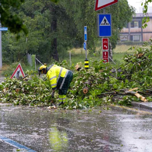 Ein Feuerwehrmann räumt Baumstämme nach einem Sturm weg.