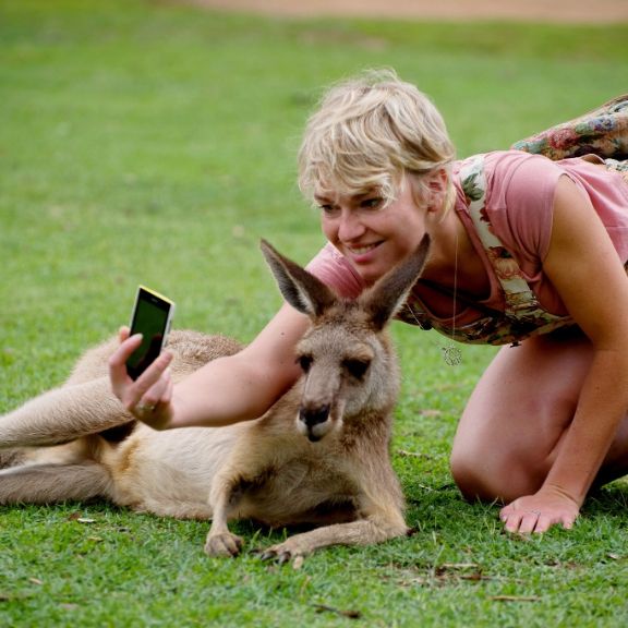 Junge Frau macht ein Selfie mit einem Känguru.