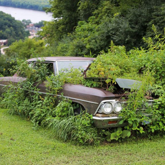 5 Probleme, wenn Ihr Auto zu lange steht Überwachsenes Auto.