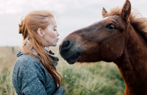 anweiden-pferd-pony.jpg