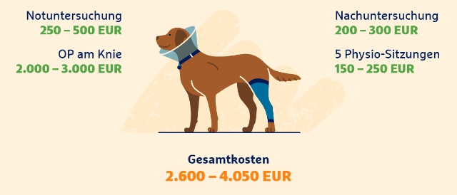 Infografik: Steigende Tierarztkosten am Beispiel Kreuzbandriss beim Hund.
