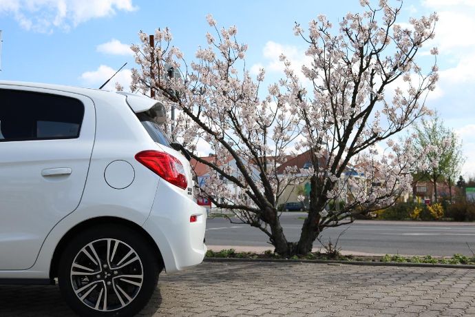 2016-Mitsubishi-Space-Star-Top-Ausstattung-mit-Extra-Paket-11.jpg