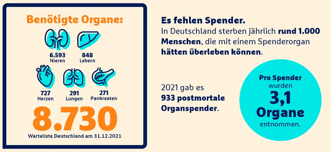 Infografik zu Organspenden in Deutschland: 8.730 registrierte Spender, benötigte Organe wie Nieren und Leber, fehlende Spender kosten jährlich 1.000 Leben.