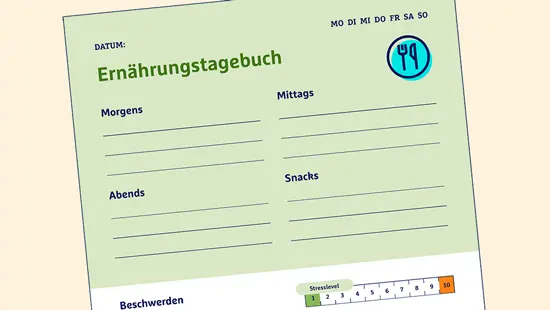 Grünes Ernährungstagebuch mit Feldern für Morgens, Mittags, Abends und Snacks zum Ausfüllen