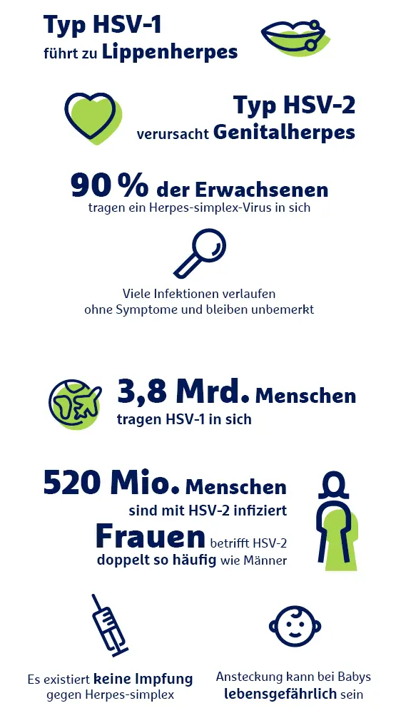 Infografik Herpes-simplex-Virus