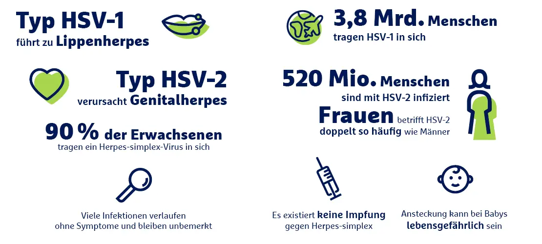 Infografik Herpes-simplex-Virus