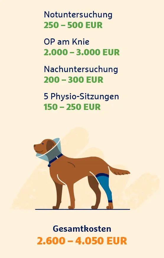 Infografik: Steigende Tierarztkosten am Beispiel Kreuzbandriss beim Hund.