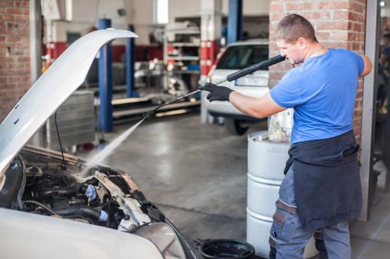 Marderbiss am Auto vermeiden